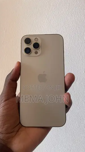Apple iPhone 12 Pro Max 256 GB Rose Gold