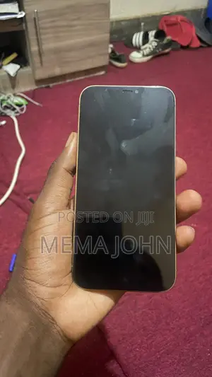 Apple iPhone 12 Pro Max 256 GB Rose Gold