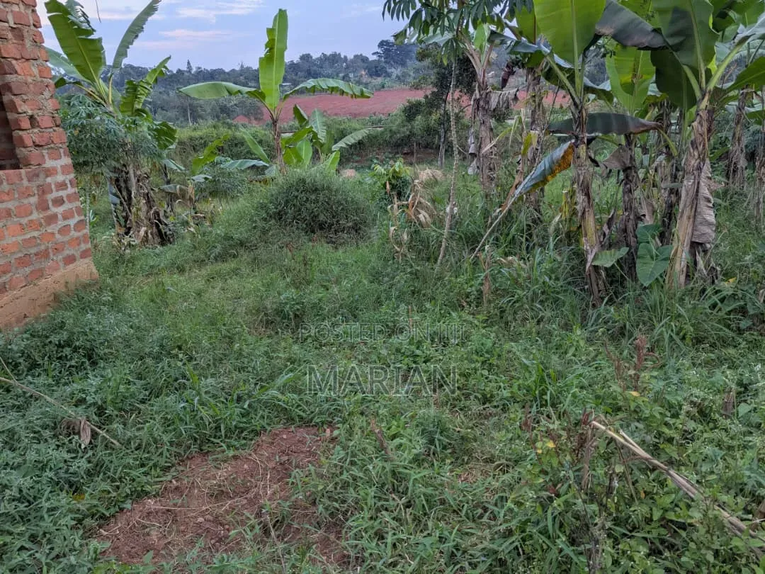 Titled Land in Setta 50/100 Hot Sale