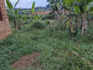 Titled Land in Setta 50/100 Hot Sale