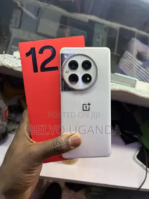 OnePlus 12 256 GB Silver