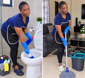 Cathy's Team Cleaning Services