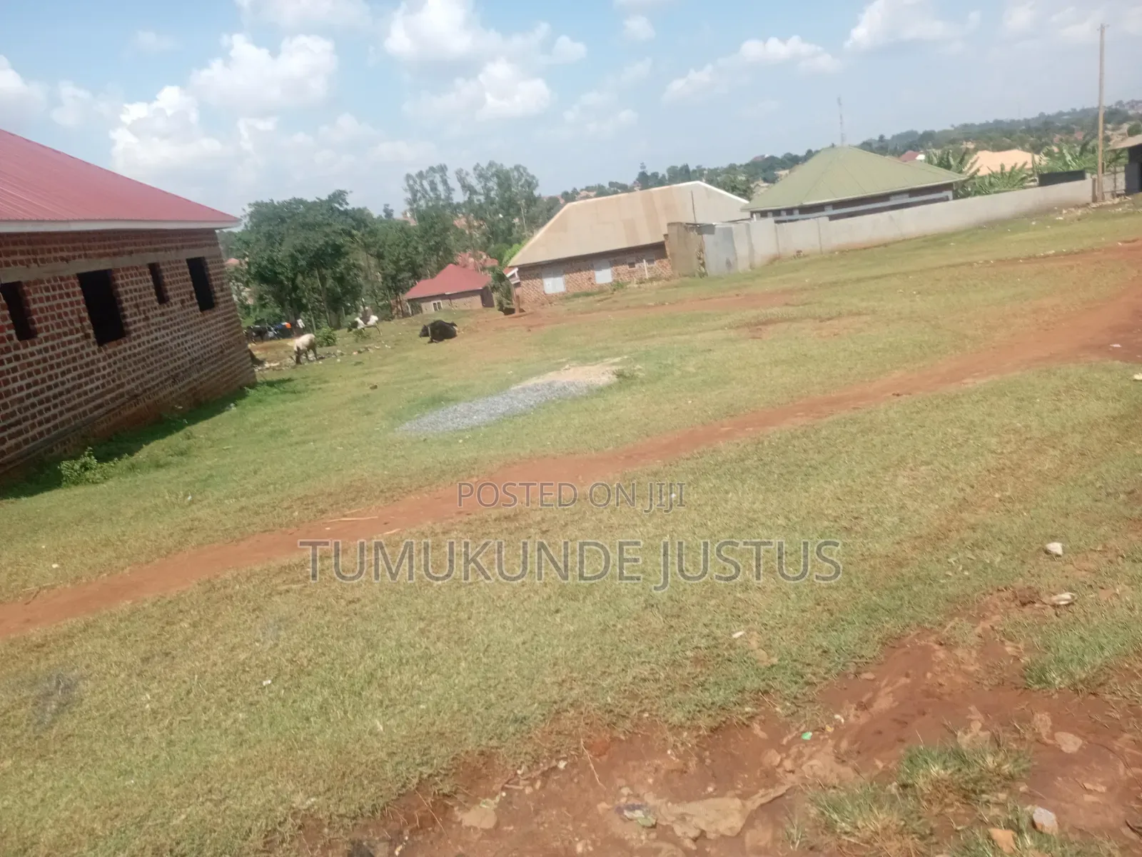 Land for Sale