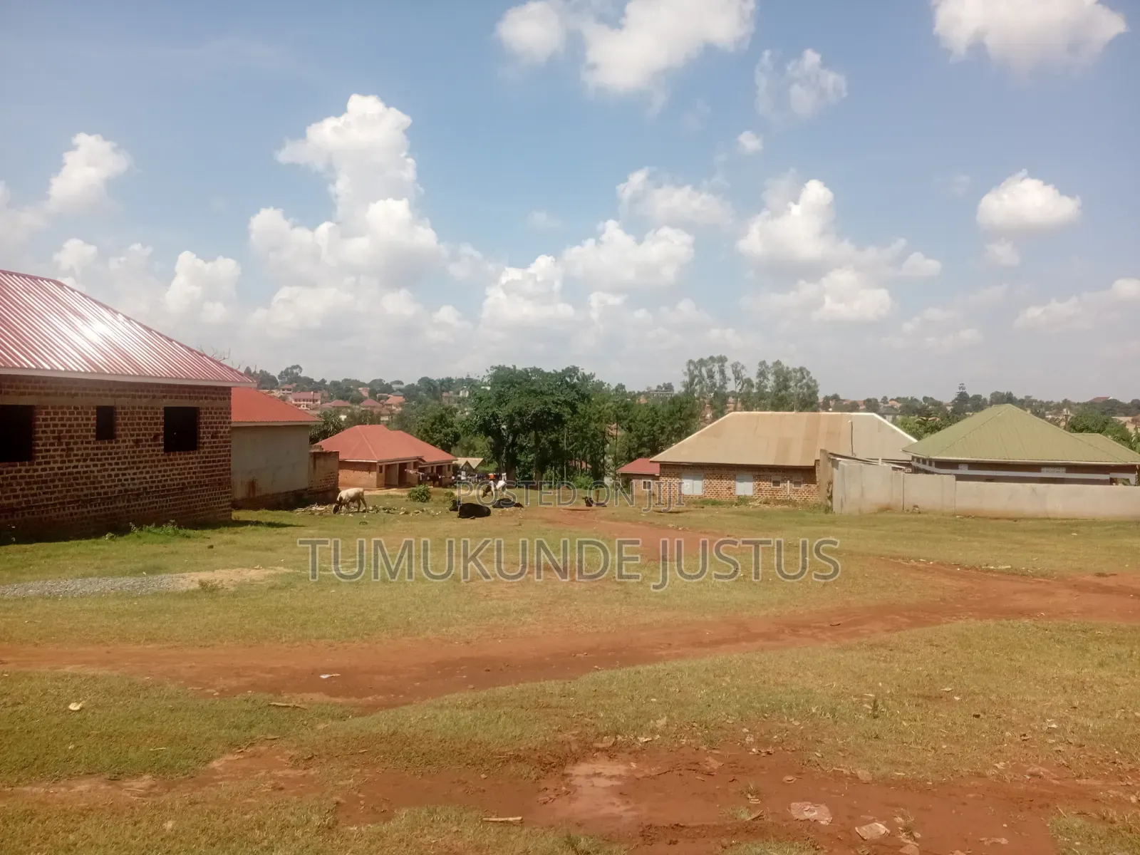 Land for Sale