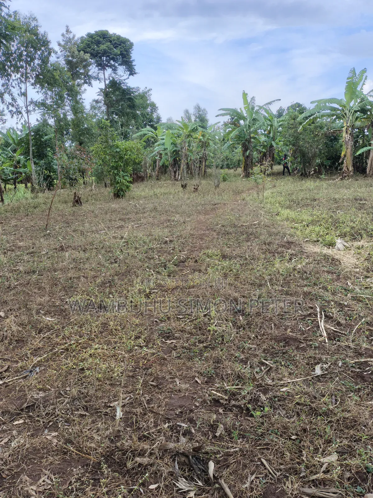 Plot for Sale