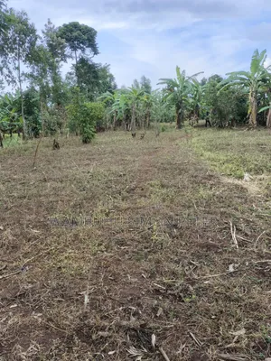 Plot for Sale