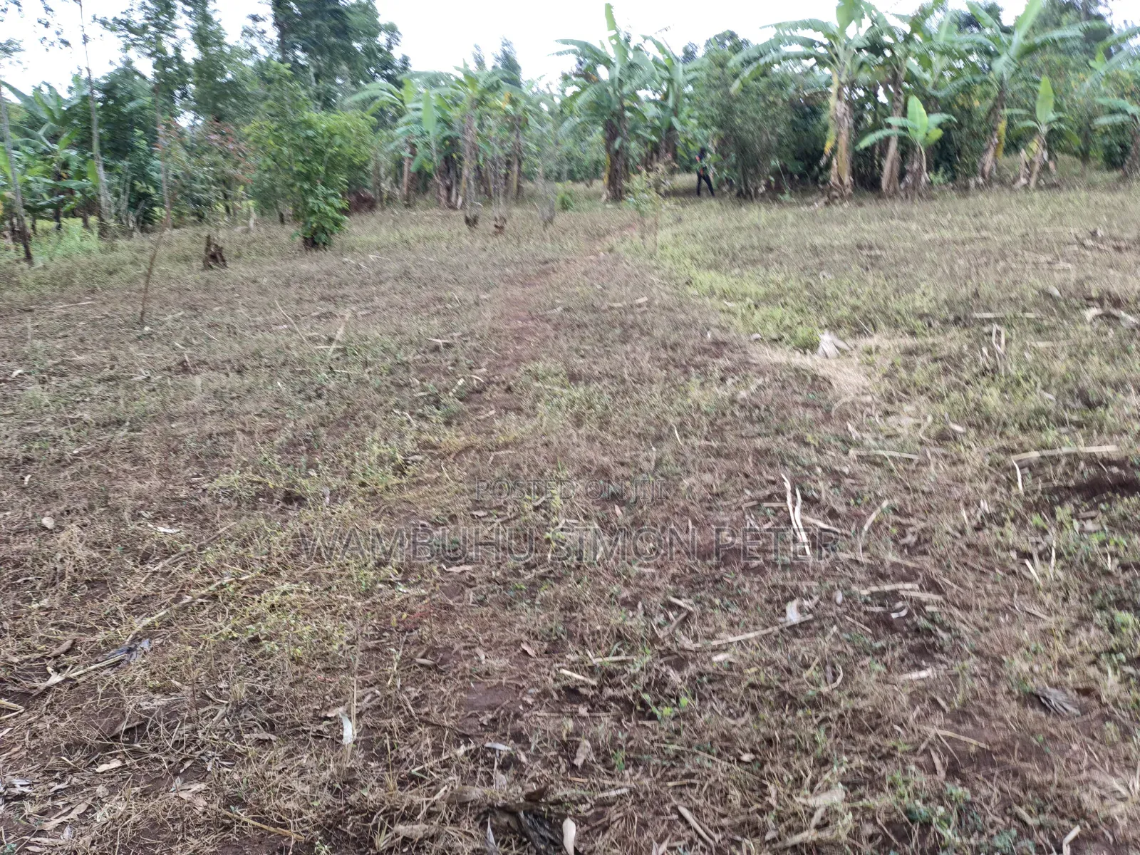 Plot for Sale