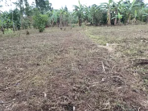 Plot for Sale