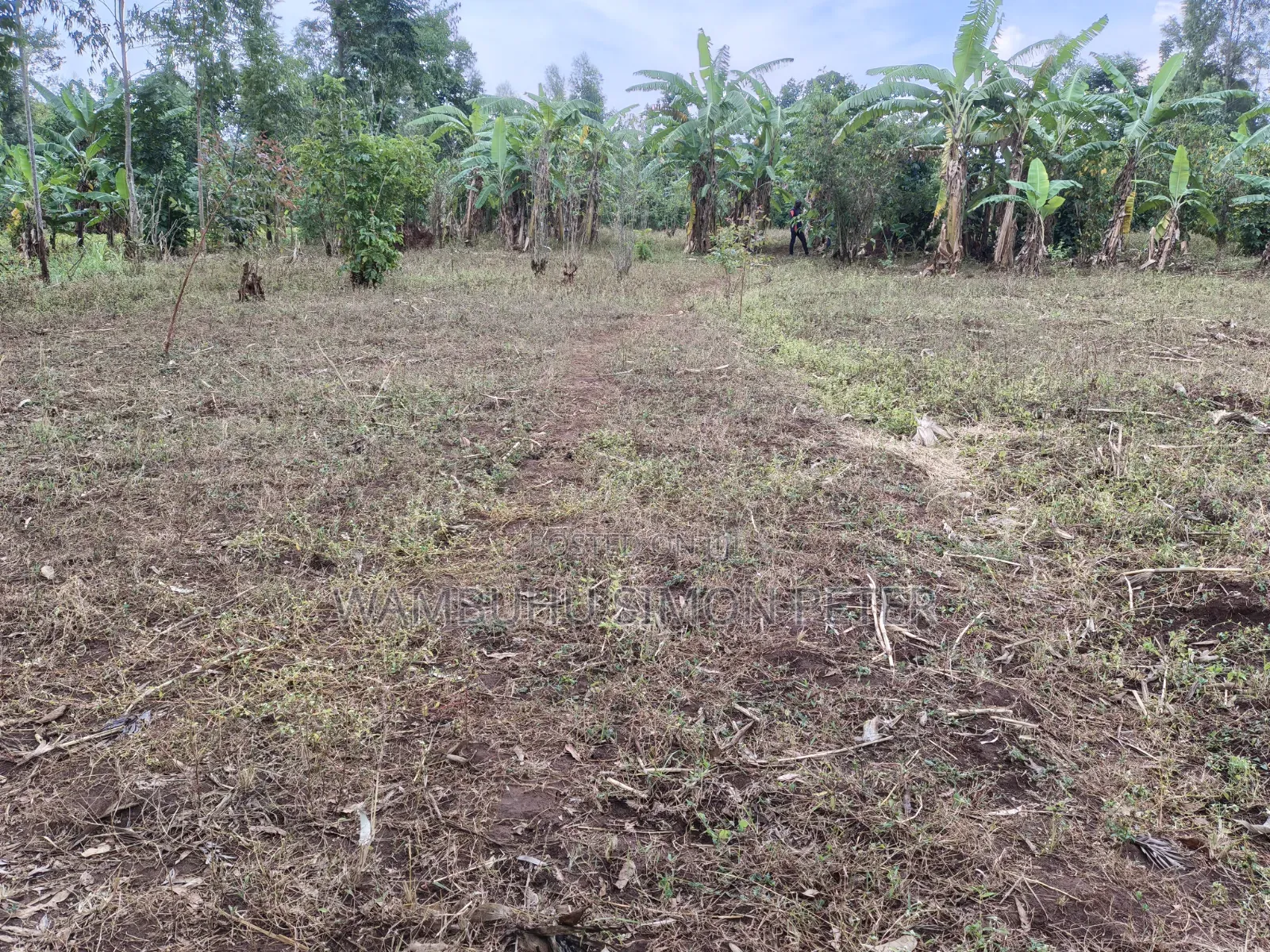 Plot for Sale