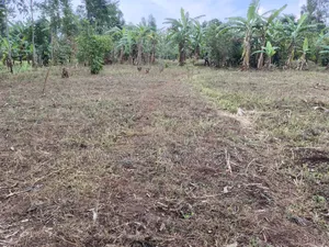 Plot for Sale