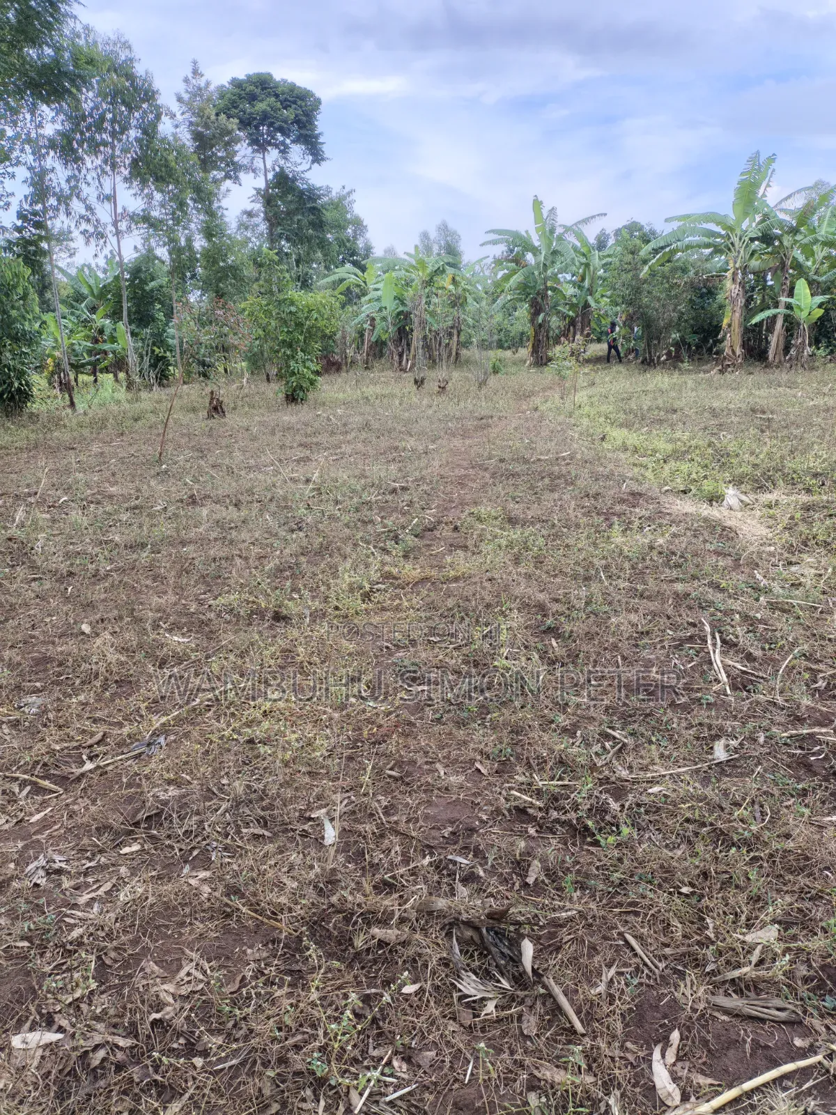 Plot for Sale