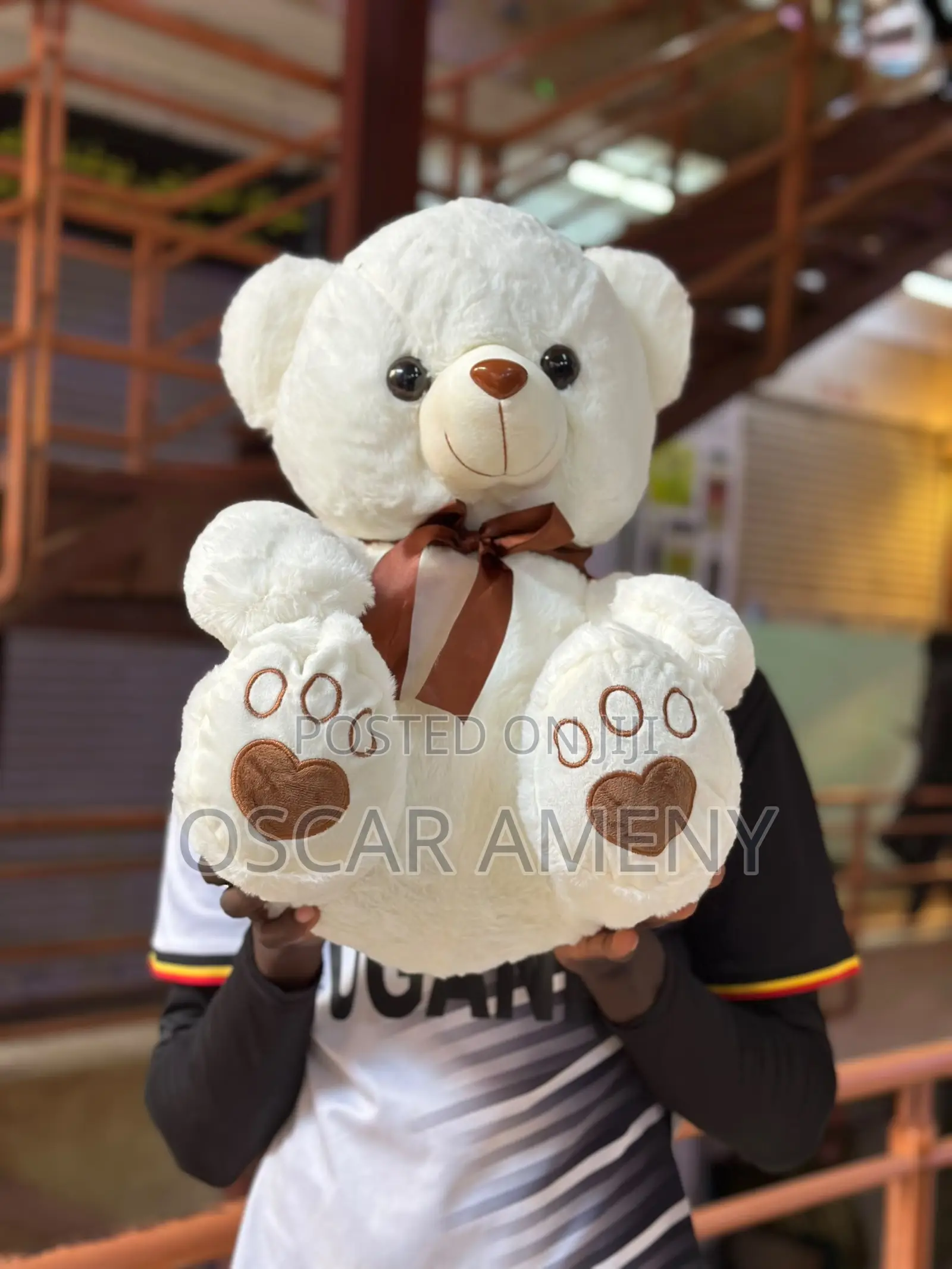 50cm Teddy Bears
