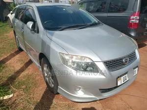 Toyota Corolla Fielder 2010 Silver