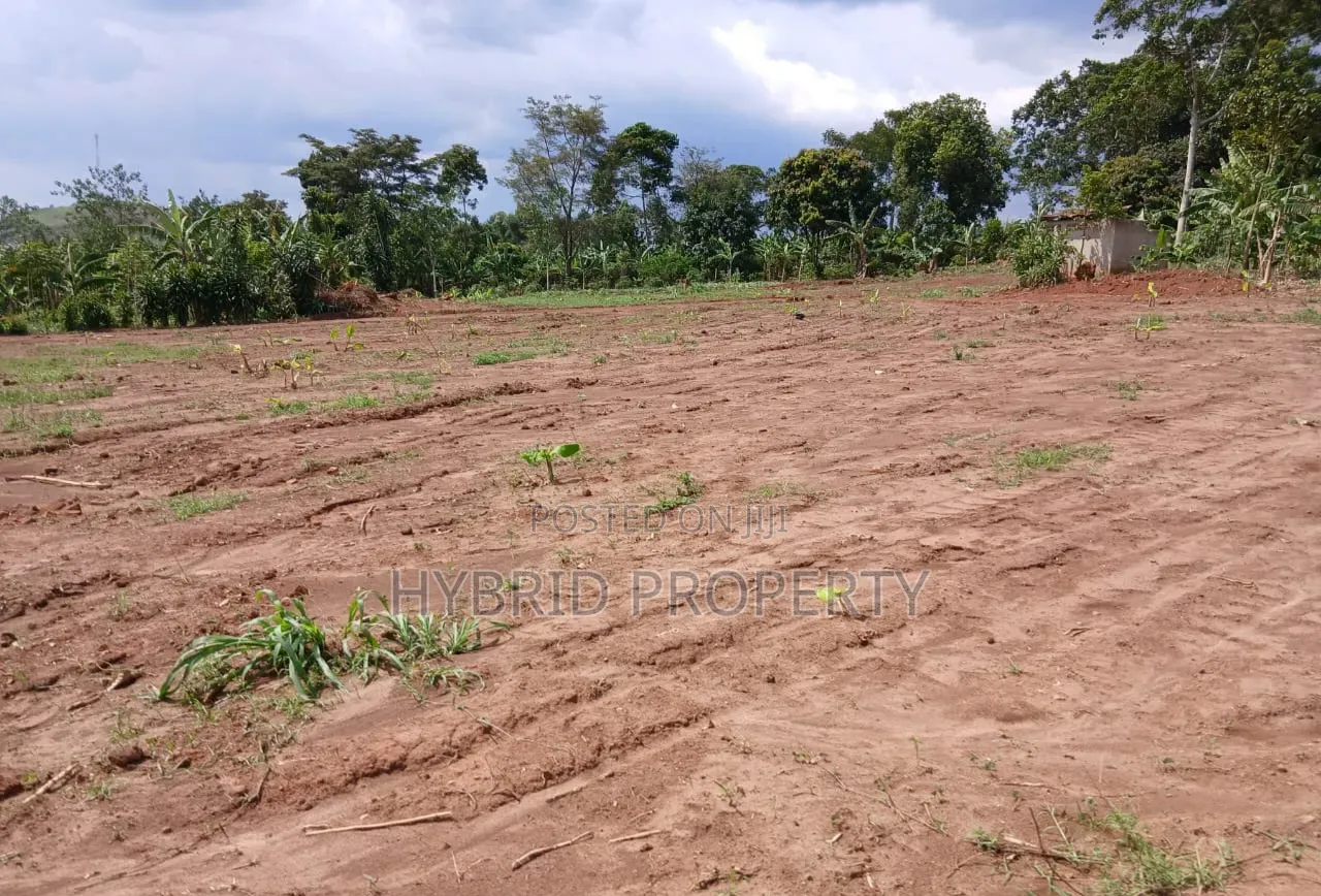 Prime Plots for Sale Nampunge~Kakiri Kulya Show Modern Estate~Hoima Rd