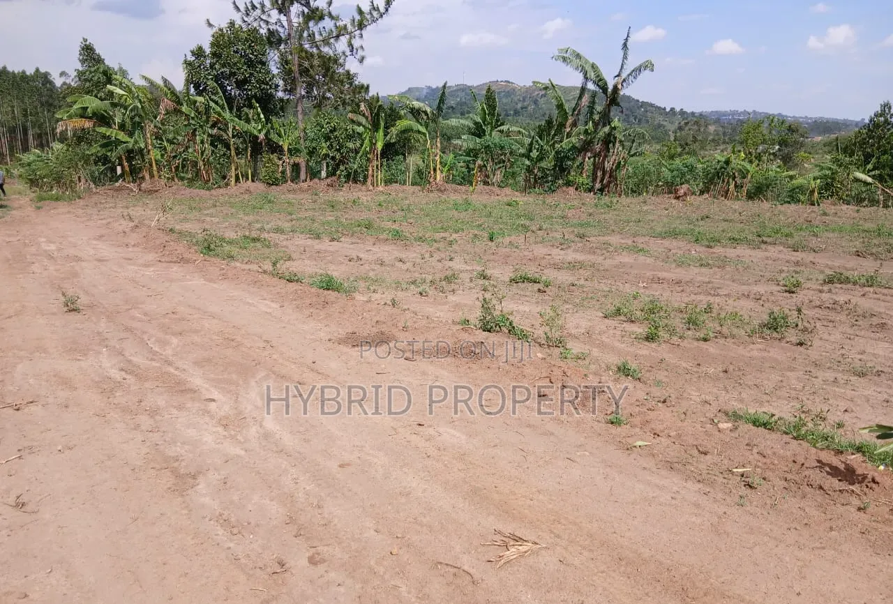 Prime Plots for Sale Mwera~Kakiri Divine Land Estate Along Hoima Rd V.