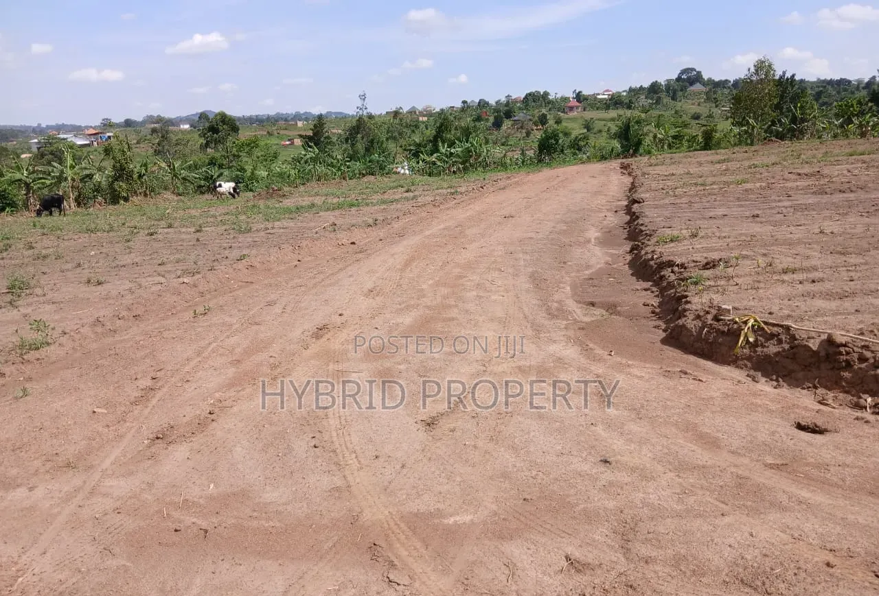 Prime Plots for Sale Mwera~Kakiri Divine Land Estate Along Hoima Rd V.