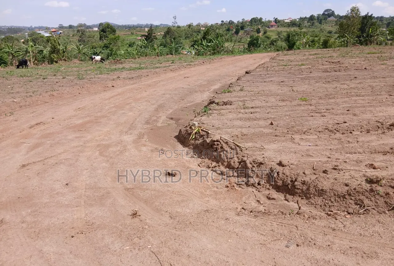 Prime Plots for Sale Mwera~Kakiri Divine Land Estate Along Hoima Rd V.