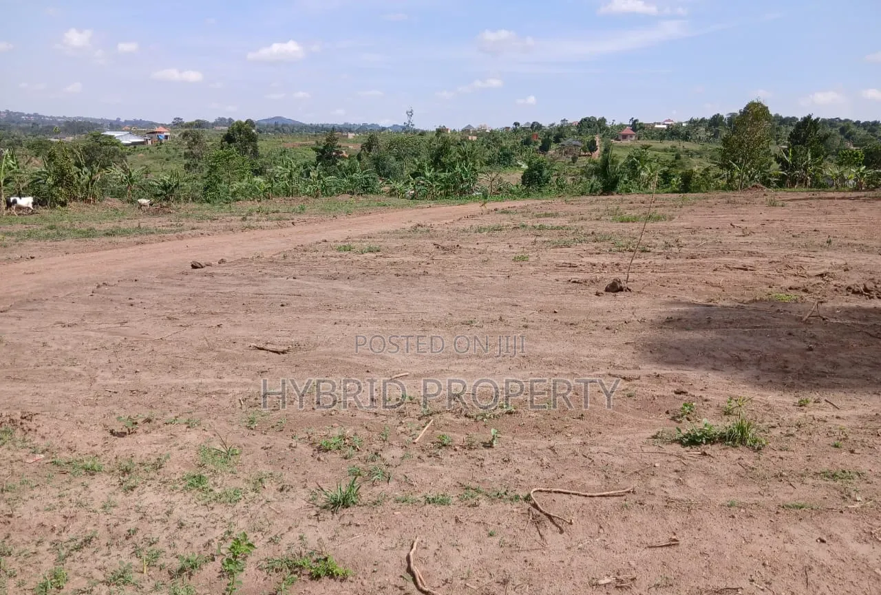 Prime Plots for Sale Mwera~Kakiri Divine Land Estate Along Hoima Rd V.
