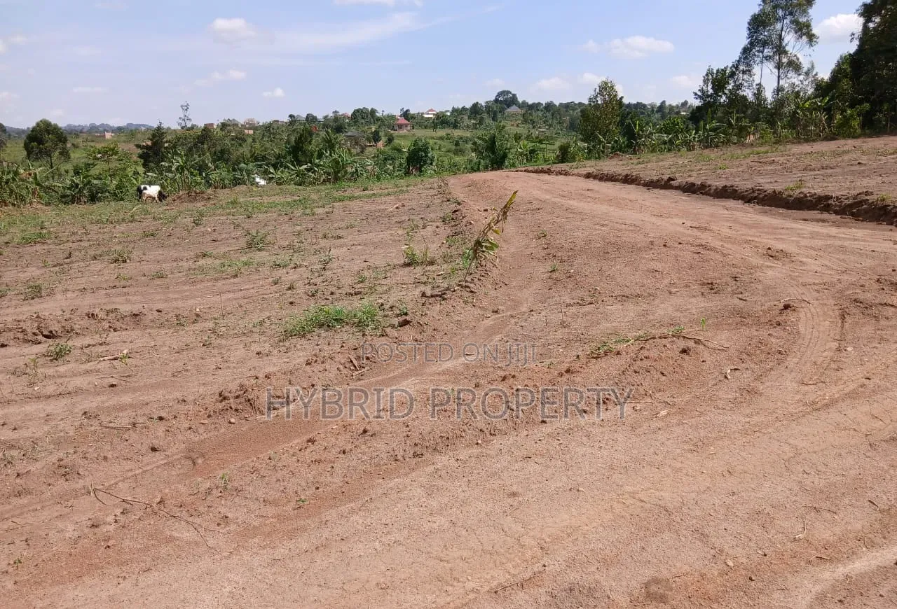 Prime Plots for Sale Mwera~Kakiri Divine Land Estate Along Hoima Rd V.