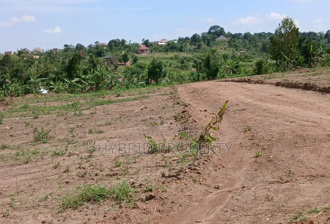 Prime Plots for Sale Mwera~Kakiri Divine Land Estate Along Hoima Rd V.