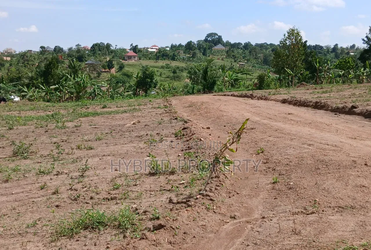 Prime Plots for Sale Mwera~Kakiri Divine Land Estate Along Hoima Rd V.