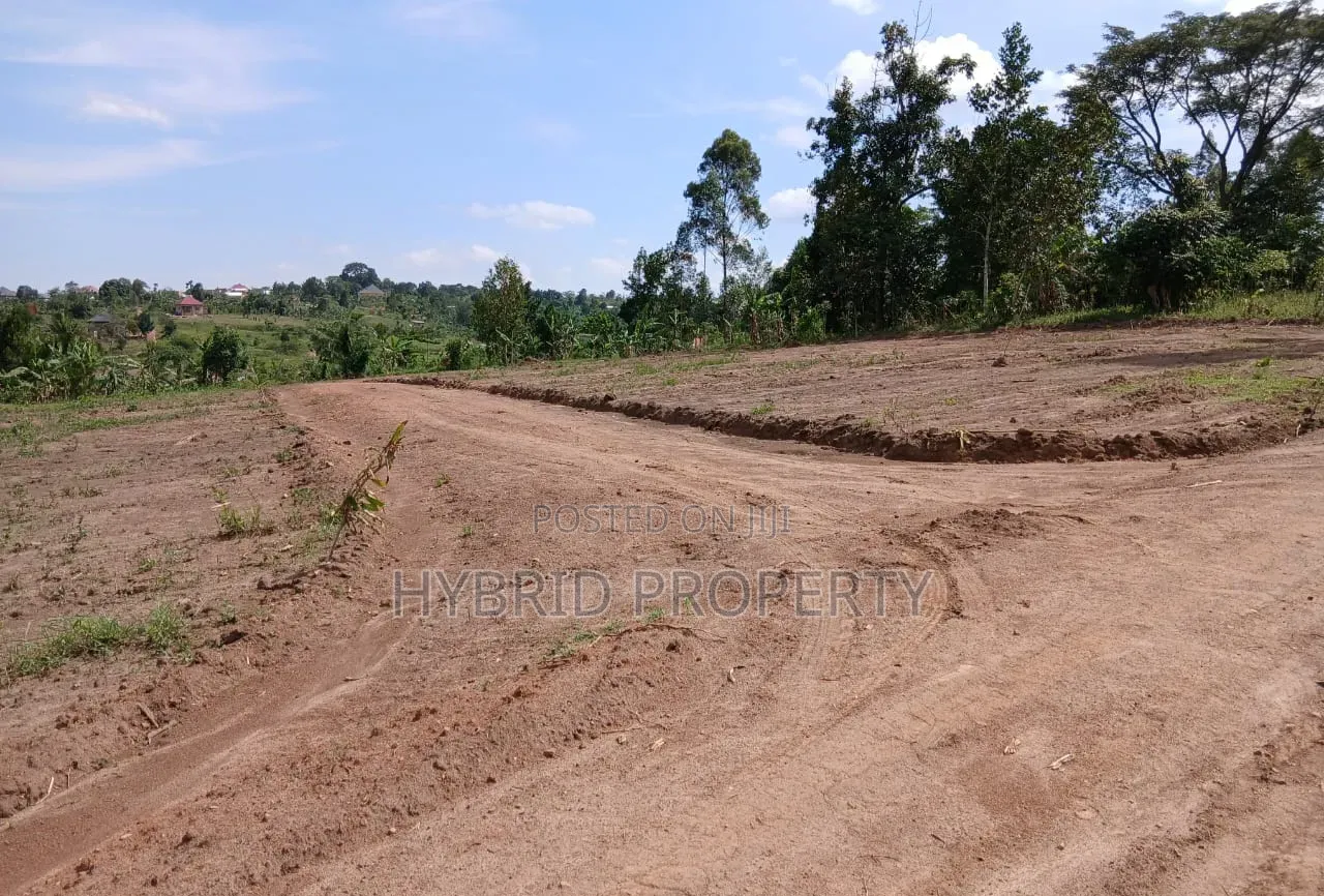 Prime Plots for Sale Mwera~Kakiri Divine Land Estate Along Hoima Rd V.