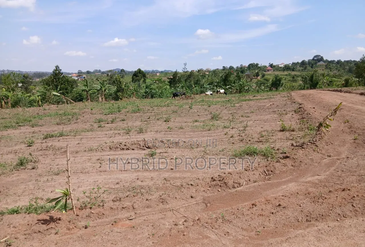 Prime Plots for Sale Mwera~Kakiri Divine Land Estate Along Hoima Rd V.