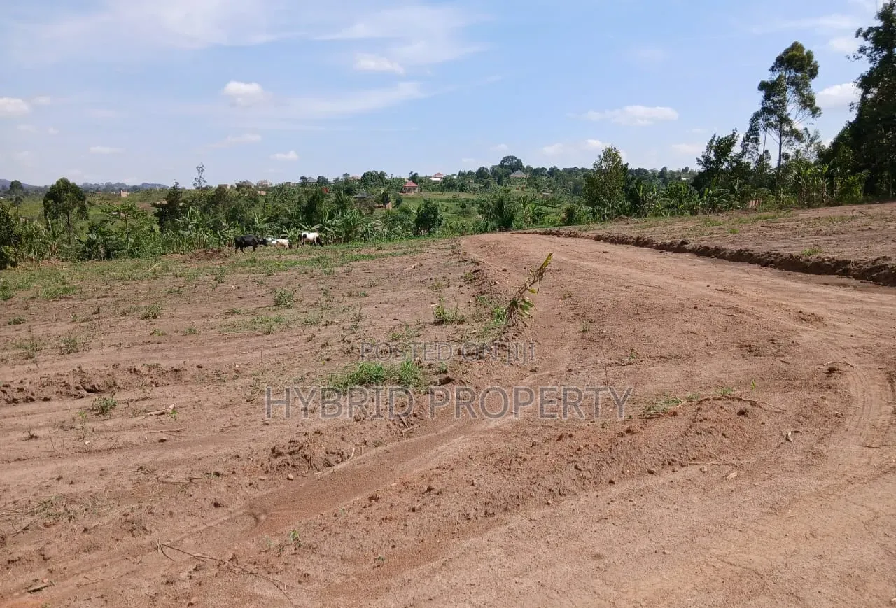 Prime Plots for Sale Mwera~Kakiri Divine Land Estate Along Hoima Rd V.