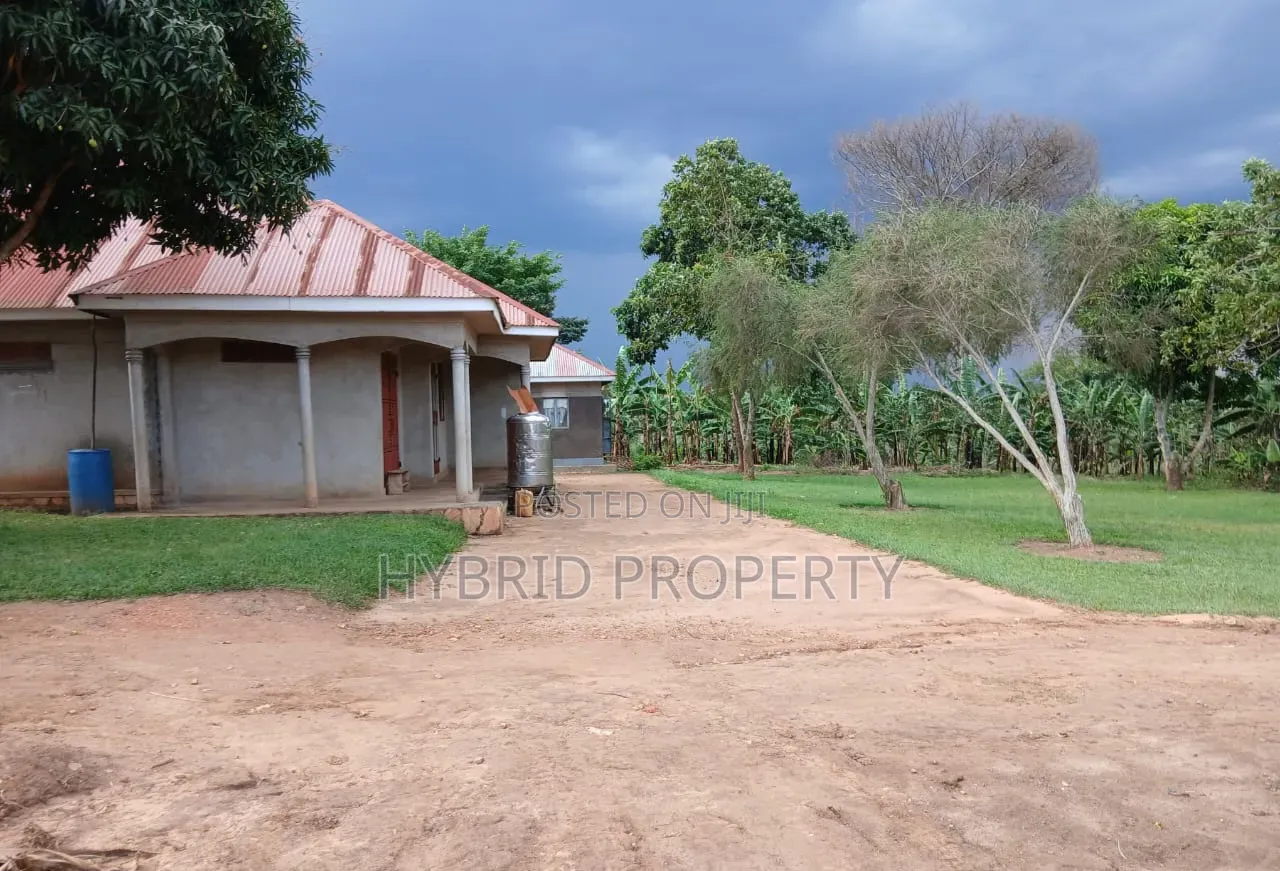 Prime Plots for Sale at Mwera~Kakiri Harmony Land Estate~Hoima Road D