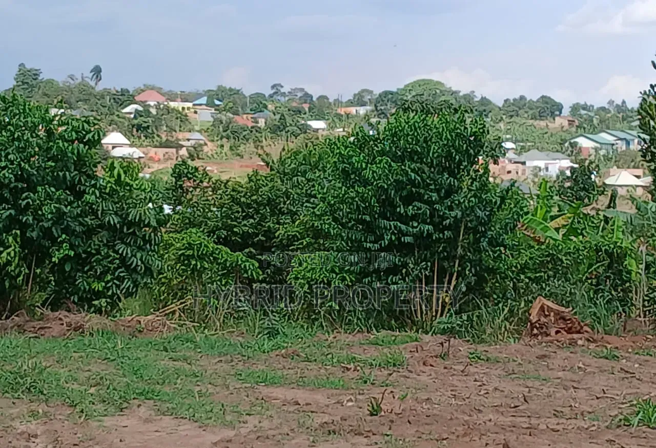 Prime Plots for Sale at Mwera~Kakiri Harmony Land Estate~Hoima Road D