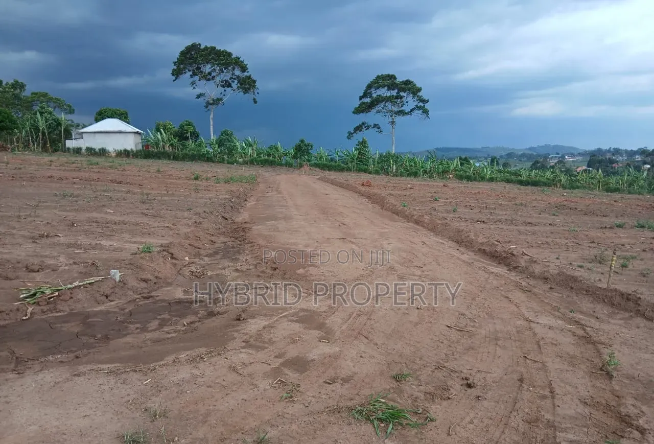 Prime Plots for Sale at Mwera~Kakiri Nature Land Estate~Hoima Road P