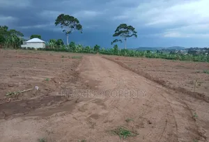Prime Plots for Sale at Mwera~Kakiri Nature Land Estate~Hoima Road P