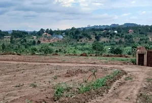 Prime Plots for Sale at Mwera~Kakiri Nature Land Estate~Hoima Road P