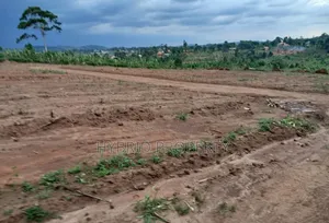 Prime Plots for Sale at Mwera~Kakiri Nature Land Estate~Hoima Road P