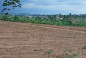Prime Plots for Sale at Mwera~Kakiri Nature Land Estate~Hoima Road P