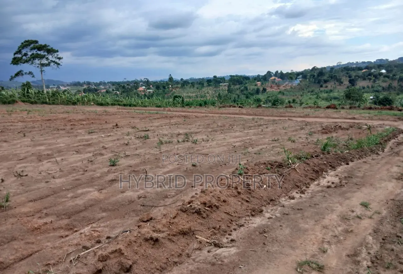 Prime Plots for Sale at Mwera~Kakiri Nature Land Estate~Hoima Road P