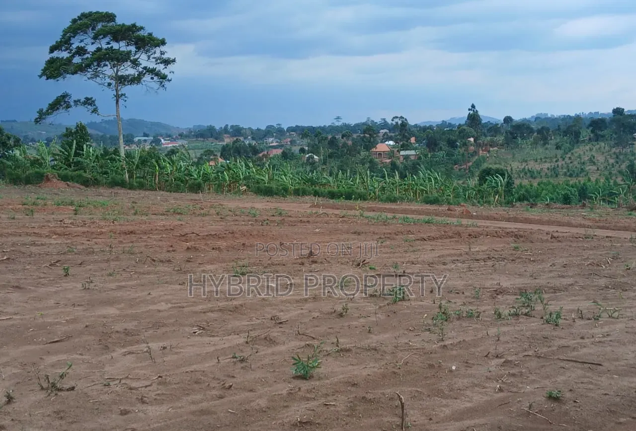 Prime Plots for Sale at Mwera~Kakiri Nature Land Estate~Hoima Road P