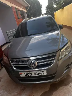 Volkswagen Tiguan 2010 Gray