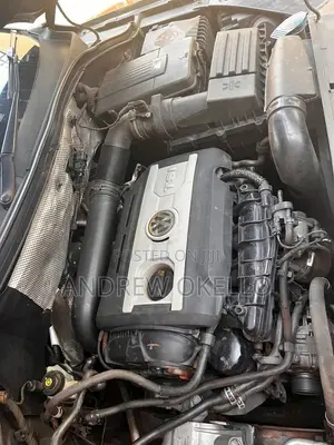 Volkswagen Tiguan 2010 Gray