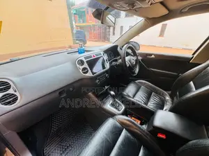 Volkswagen Tiguan 2010 Gray