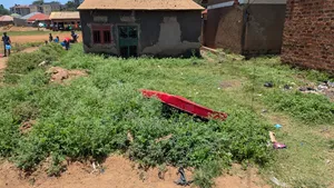 Land for Sell 25 to 60