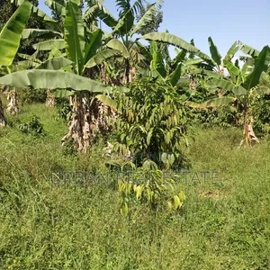 Kansangati Land for Sell