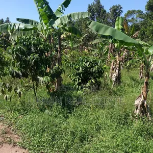 Kansangati Land for Sell