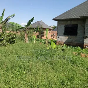 Kansangati Land for Sell
