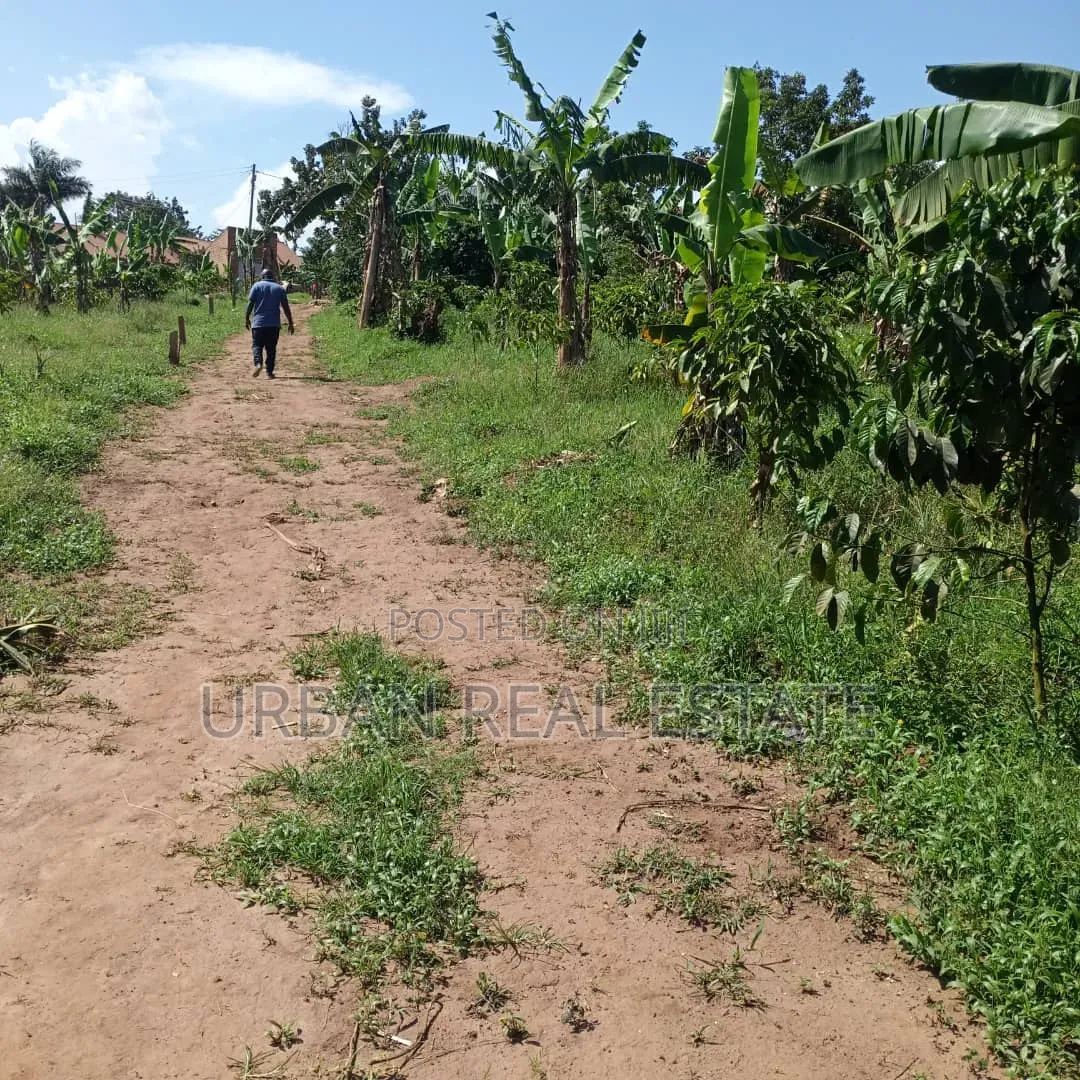 Kansangati Land for Sell