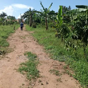 Kansangati Land for Sell