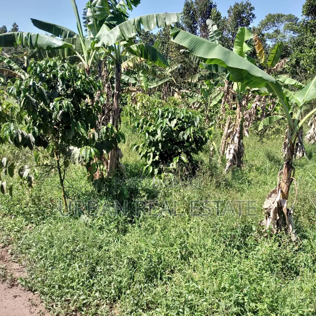 Kansangati Land for Sell