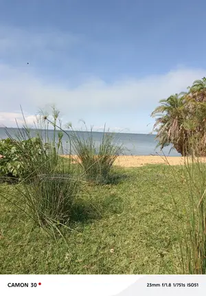  Beach Land for Sale – Kalangala Island