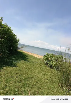  Beach Land for Sale – Kalangala Island