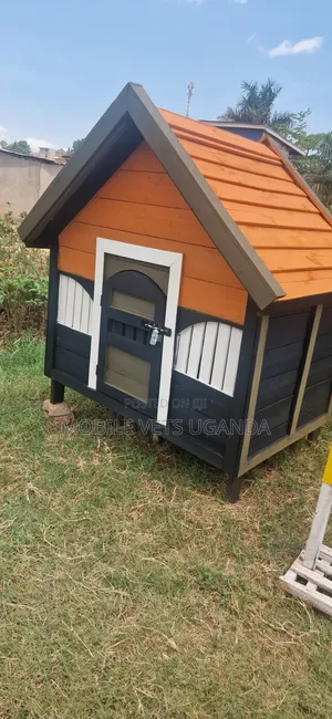 Dog House and Cats